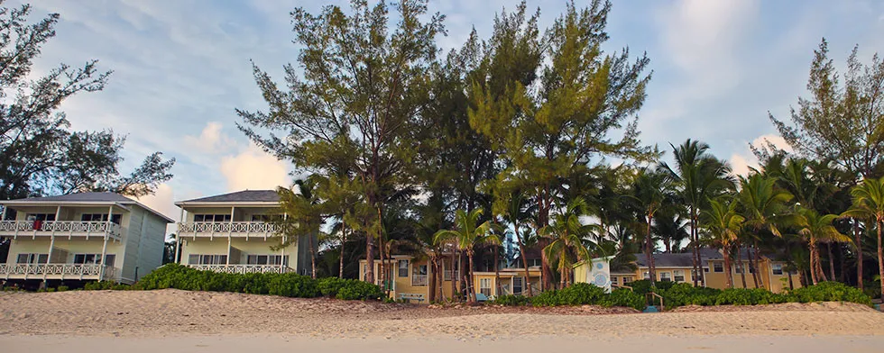 Accommodation Sivananda Ashram Yoga Retreat from Tent Huts to Beach Cottages