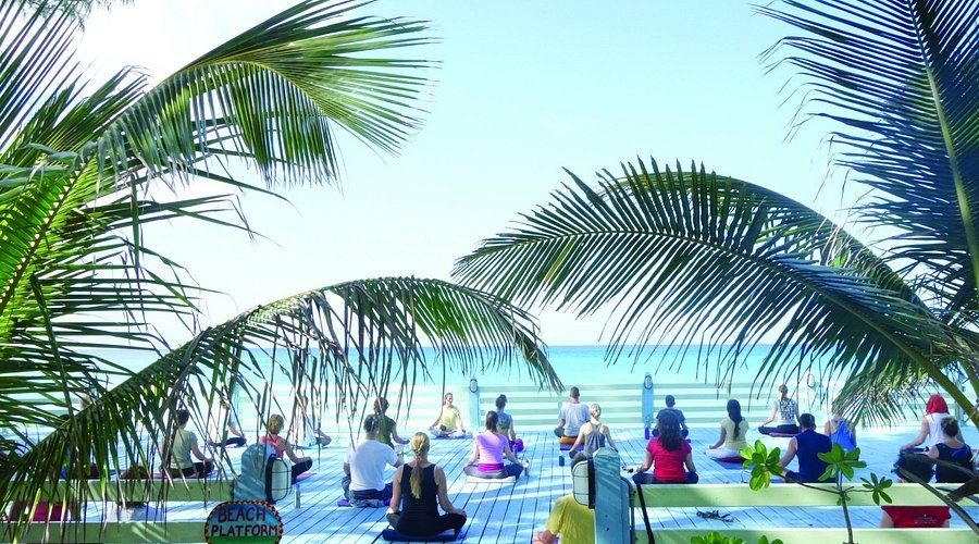 Community & Environment - Sivananda Ashram Yoga Retreat Reviews