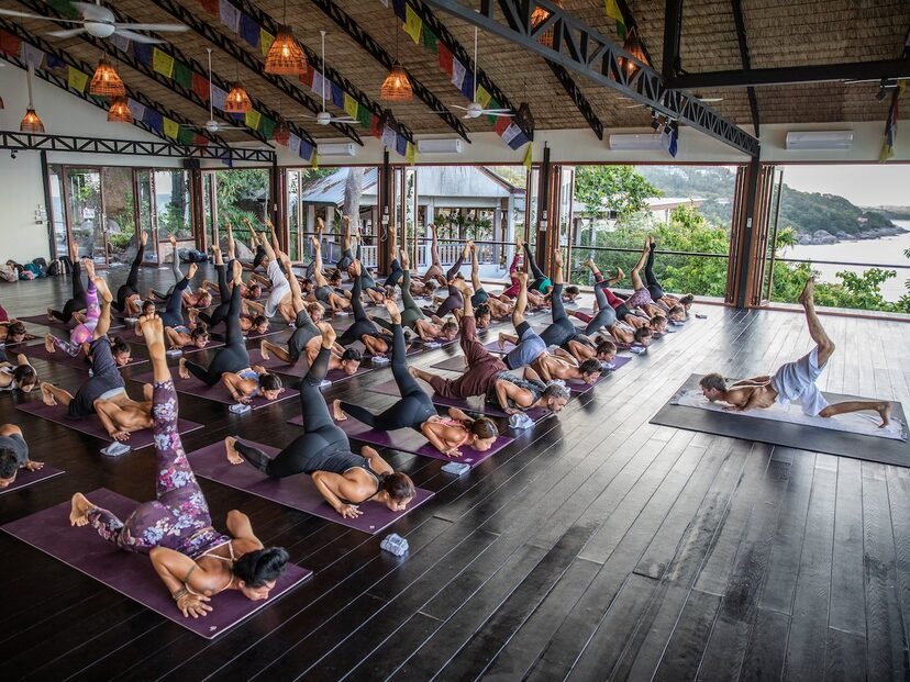 Yoga for All - Vikasa Yoga Retreat Reviews
